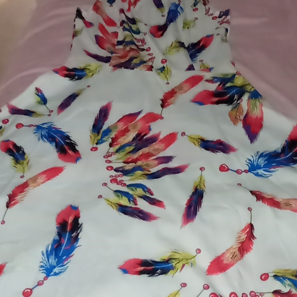 Peacock Dress - Picture 2 of 2